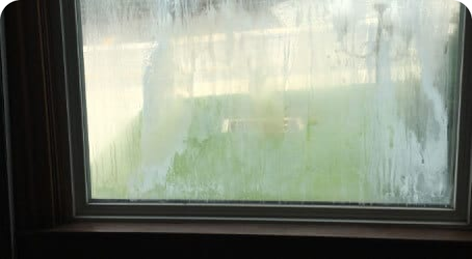 Home Glass repair