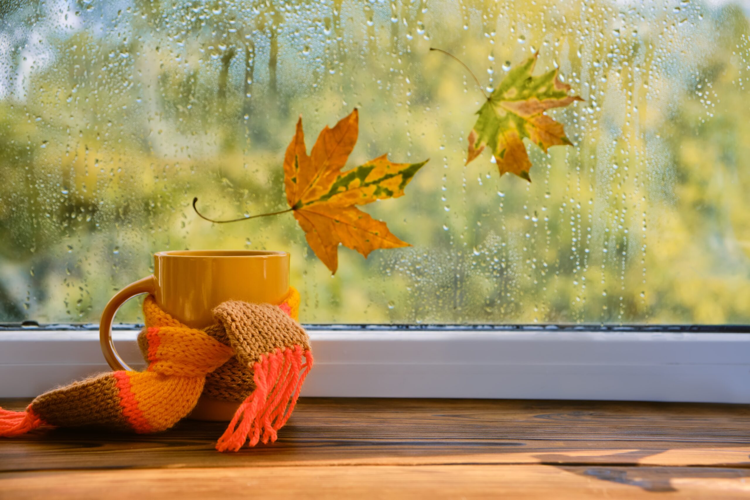 Reasons Homeowners Need Emergency Window Repair