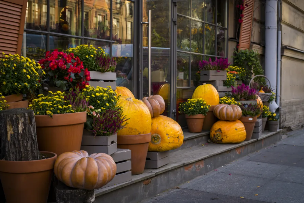 Storefront Glass Damage
