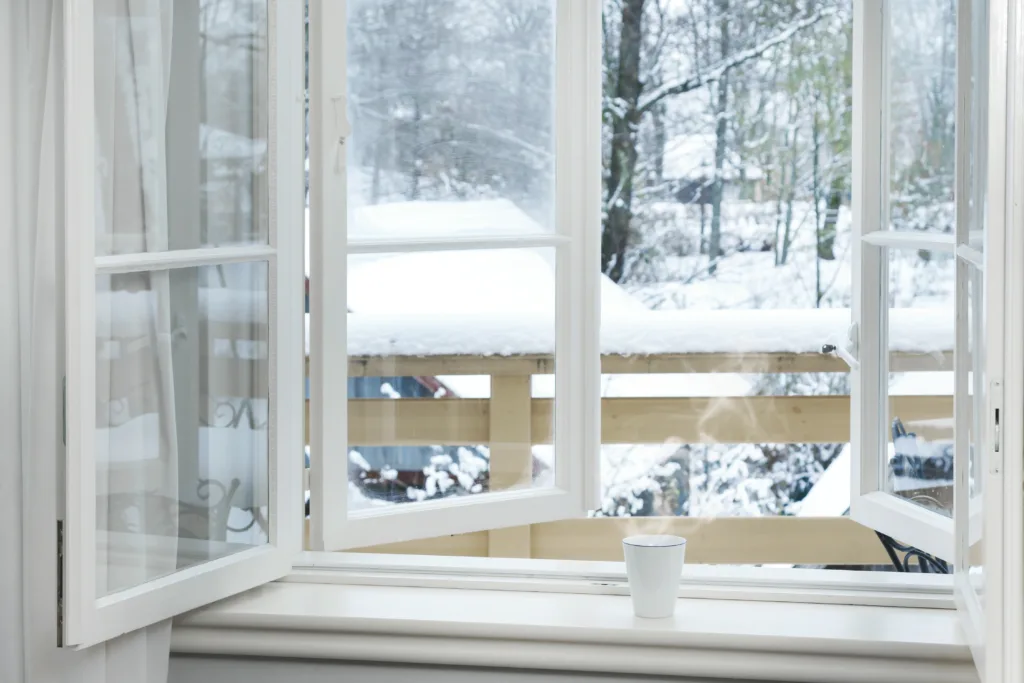 Replace Windows in December