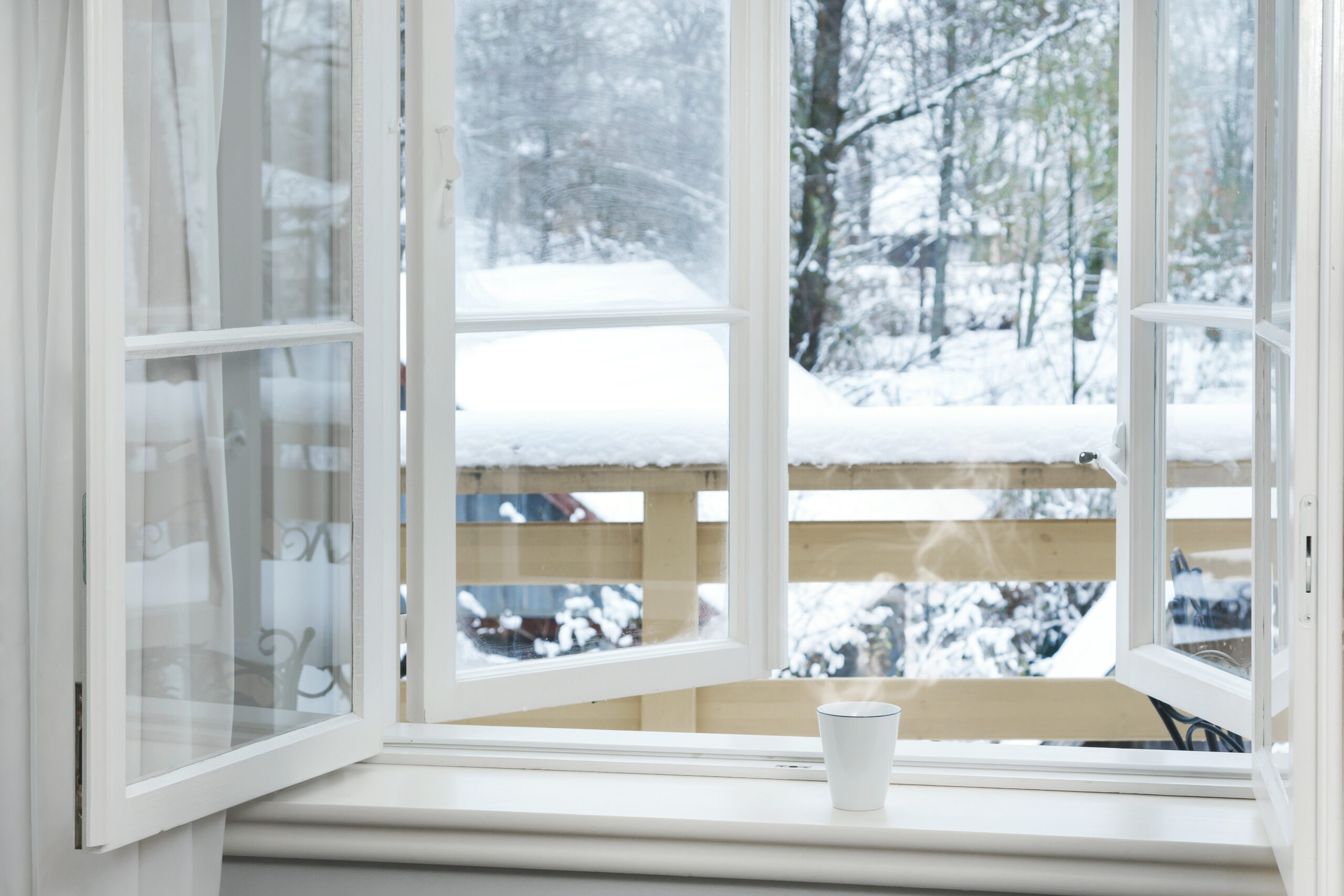 Replace Windows in December